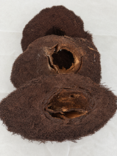 Cargar imagen en el visor de la galería, Natural Tree Fern- Orchid Mount