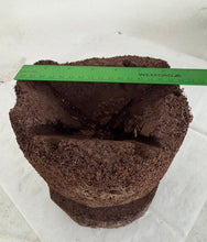 Load image into Gallery viewer, Handcrafted Natural Tree Fern Pot
