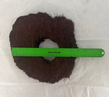Cargar imagen en el visor de la galería, Natural Tree Fern- Orchid Mount
